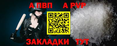 стафф Бердск